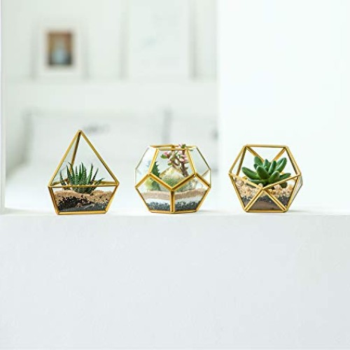Mkono Mini Glass Geometric Terrarium Container Set of 3 Modern Tab...