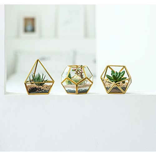 Mkono Mini Glass Geometric Terrarium Container Set of 3 Modern Tab...
