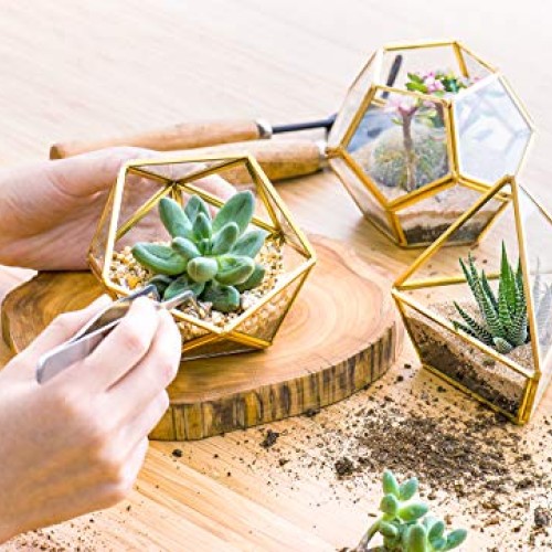 Mkono Mini Glass Geometric Terrarium Container Set of 3 Modern Tab...
