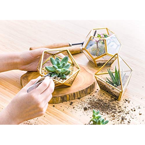 Mkono Mini Glass Geometric Terrarium Container Set of 3 Modern Tab...