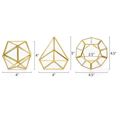 Mkono Mini Glass Geometric Terrarium Container Set of 3 Modern Tab...