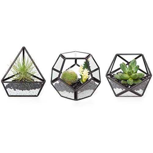 Mkono Mini Glass Geometric Terrarium Container Set of 3 Modern Tab...