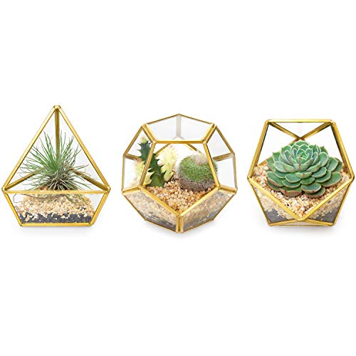 Mkono Mini Glass Geometric Terrarium Container Set of 3 Modern Tab...