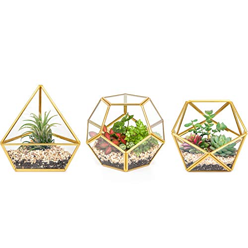 Mkono Mini Glass Geometric Terrarium Container Set of 3 Modern Tab...