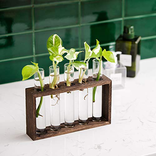 Mkono Wall Hanging Glass Planter Propagation Station Modern Flower...