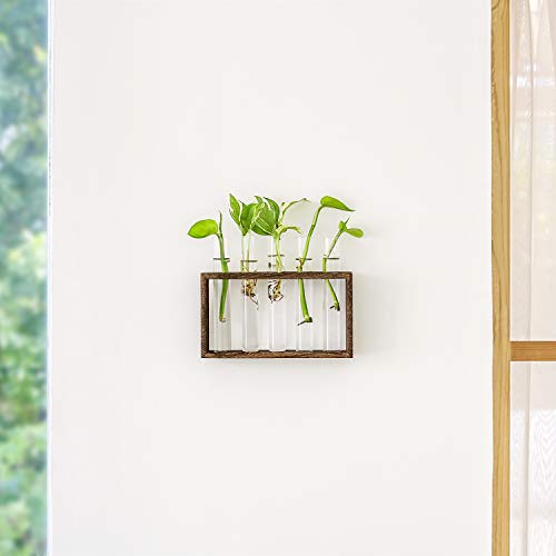 Mkono Wall Hanging Glass Planter Propagation Station Modern Flower...
