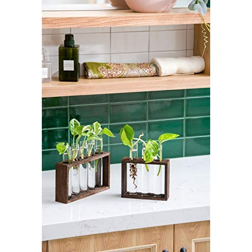 Mkono Wall Hanging Glass Planter Propagation Station Modern Flower...