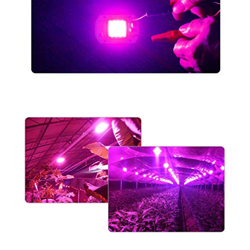 Mobestech 50W LED Chip Full Spectrum Grow Light LED COB Chip SMD C...