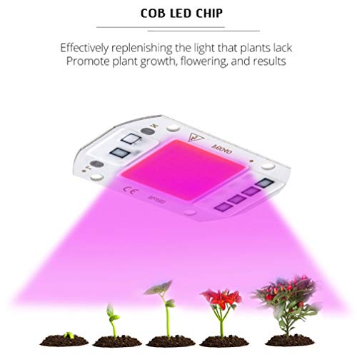 Mobestech 50W LED Chip Full Spectrum Grow Light LED COB Chip SMD C...