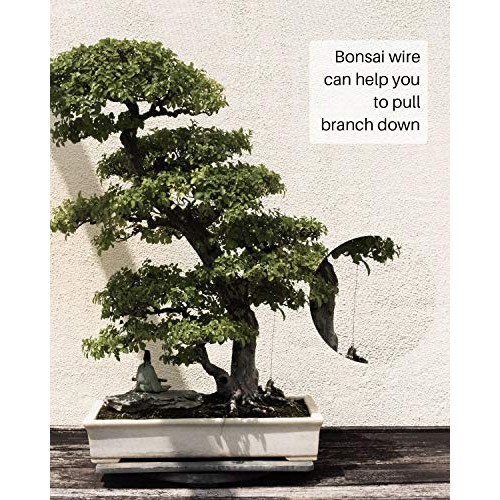 MoHern Bonsai Wire and Bonsai Tool Kit, Total 164 Feet Bonsai Tree...