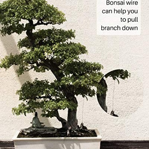 MoHern Bonsai Wire and Bonsai Tool Kit, Total 164 Feet Bonsai Tree...