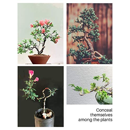MoHern Bonsai Wire and Bonsai Tool Kit, Total 164 Feet Bonsai Tree...
