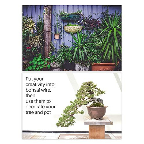 MoHern Bonsai Wire and Bonsai Tool Kit, Total 164 Feet Bonsai Tree...