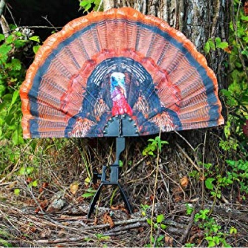 MOJO Outdoors Tail Chaser Max - Turkey Hunting Decoy- Turkey Decoy...