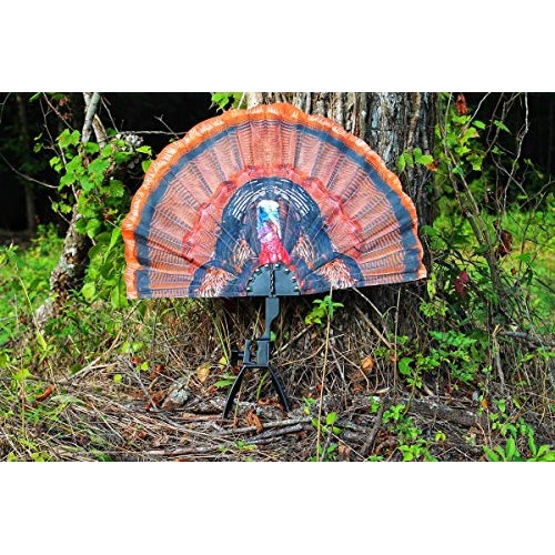 MOJO Outdoors Tail Chaser Max - Turkey Hunting Decoy- Turkey Decoy...