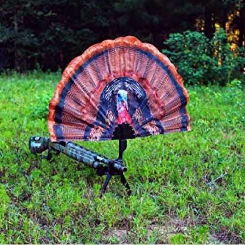 MOJO Outdoors Tail Chaser Max - Turkey Hunting Decoy- Turkey Decoy...