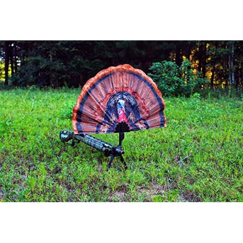 MOJO Outdoors Tail Chaser Max - Turkey Hunting Decoy- Turkey Decoy...
