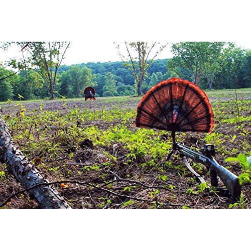 MOJO Outdoors Tail Chaser Max - Turkey Hunting Decoy- Turkey Decoy...