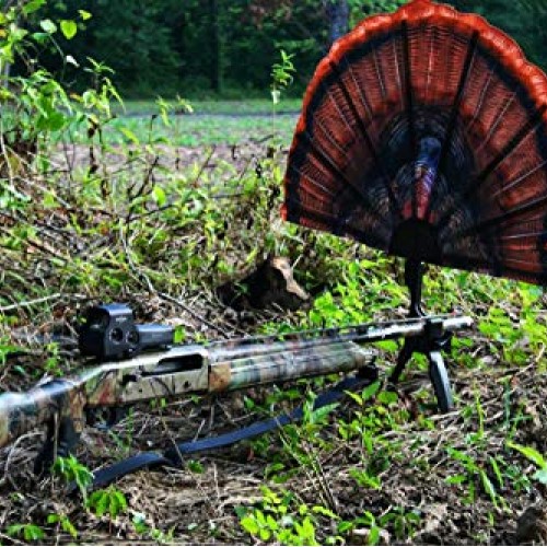 MOJO Outdoors Tail Chaser Max - Turkey Hunting Decoy- Turkey Decoy...