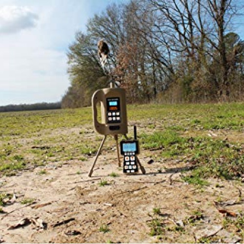 MOJO Outdoors Triple Threat E-Caller Predator Coyote Call Decoy 3-...