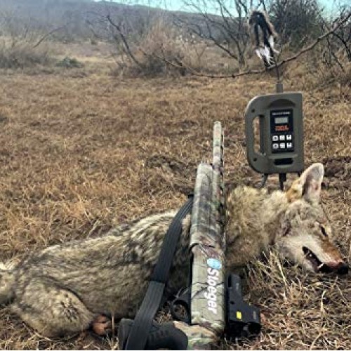 MOJO Outdoors Triple Threat E-Caller Predator Coyote Call Decoy 3-...