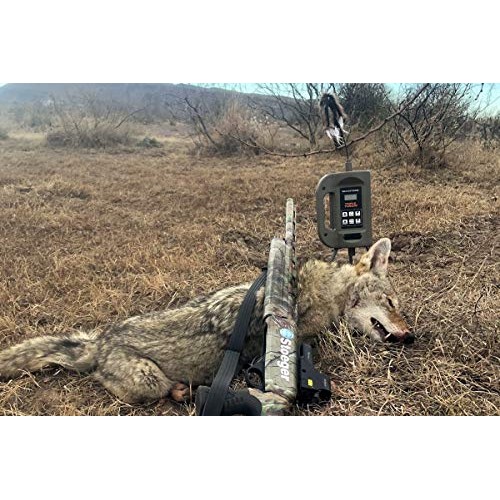 MOJO Outdoors Triple Threat E-Caller Predator Coyote Call Decoy 3-...