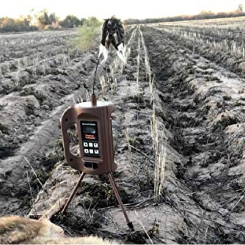 MOJO Outdoors Triple Threat E-Caller Predator Coyote Call Decoy 3-...