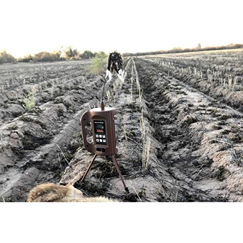 MOJO Outdoors Triple Threat E-Caller Predator Coyote Call Decoy 3-...