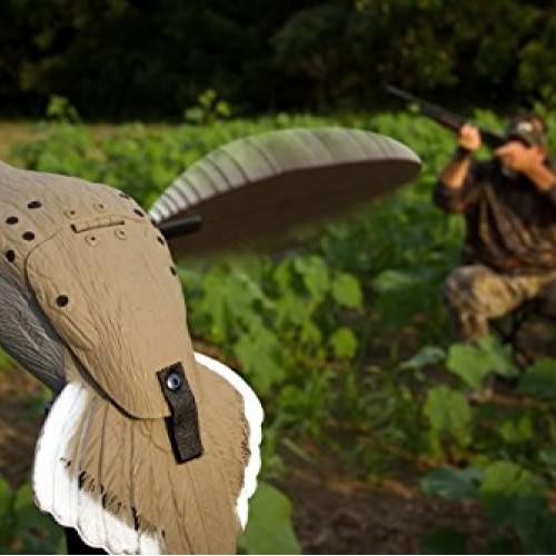 Mojo Outdoors Voodoo Dove Decoy - Motion Dove Decoy for Hunting