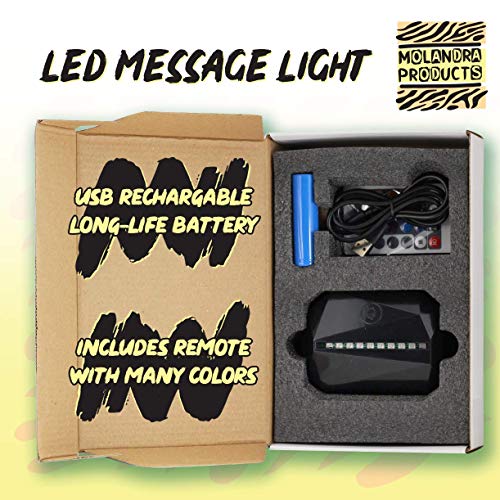 got Ferries? - LED Rechargeable USB Edge Lit Sign
