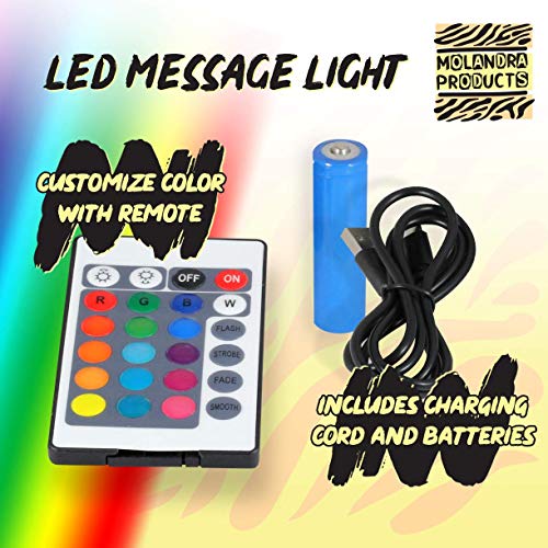 got Ferries? - LED Rechargeable USB Edge Lit Sign