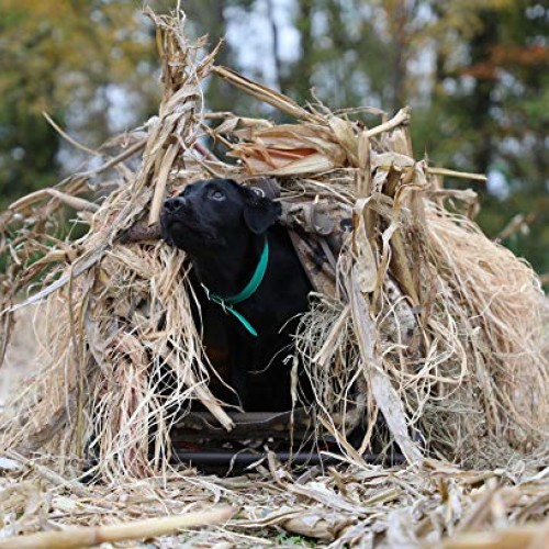 Momarsh, Field House LP Low Profile Hunting Dog Blind, Optifade Marsh