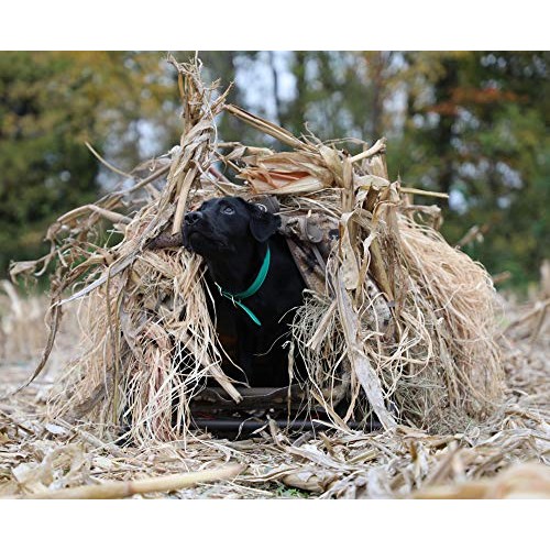 Momarsh, Field House LP Low Profile Hunting Dog Blind, Optifade Marsh