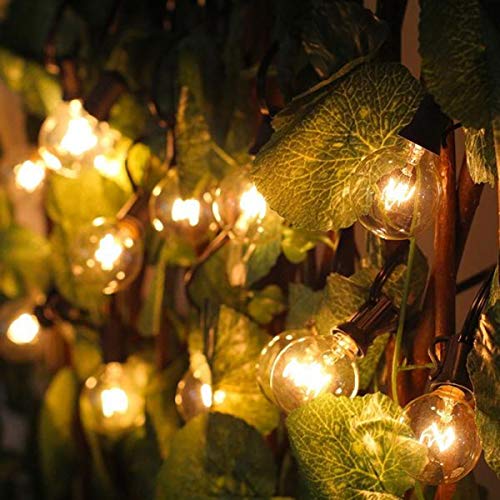 Monkeydg 100FT String Lights, G40 Outdoor String Lights Edison Lig...