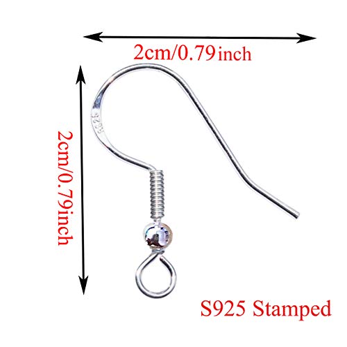 40pcs 925 Sterling Silver Earring Hooks French Wire Hooks Fish Hoo...