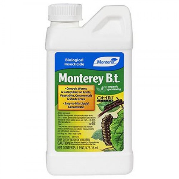Monterey 704596 Caterpillar Killer Pesticide, 1-Pint