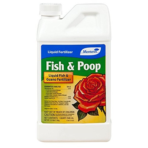 Monterey Fish & Poop - Qt