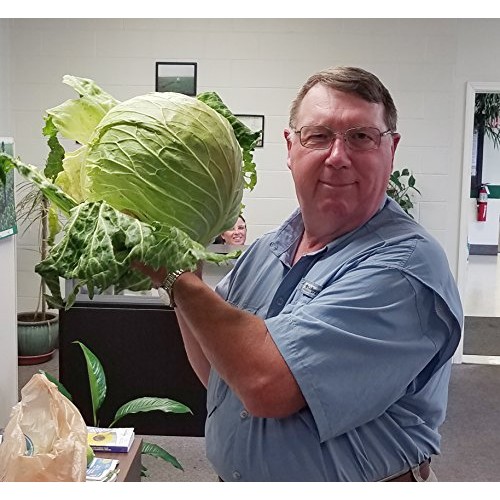 Fruit & Vegetable Plant Food Ready-to-Spray