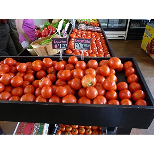Fruit & Vegetable Plant Food Ready-to-Spray