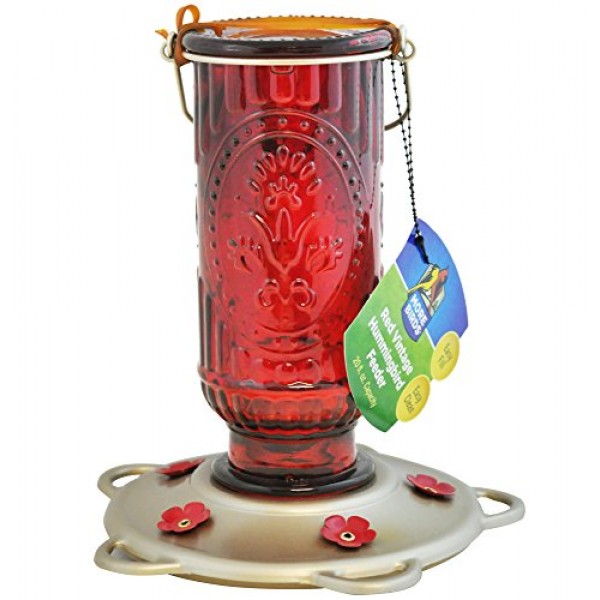 More Birds Hummingbird Feeder, Glass Hummingbird Feeders, Red, 5 F...