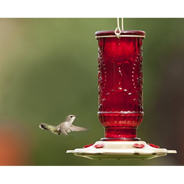 More Birds Hummingbird Feeder, Glass Hummingbird Feeders, Red, 5 F...
