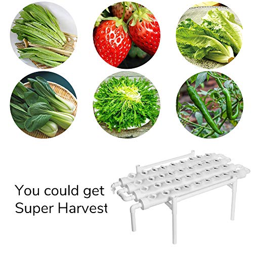 MorNon Hydroponic Grow Kit 36 Site 4 Pipe Hydroponic Growing Syste...