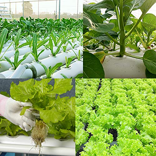 MorNon Hydroponic Grow Kit 36 Site 4 Pipe Hydroponic Growing Syste...