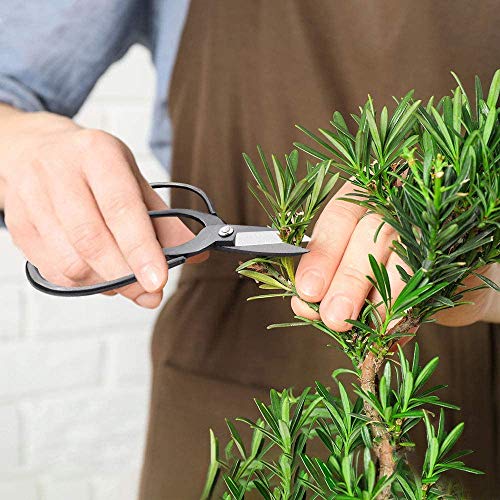 MOSFiATA Bonsai Tools Set 13 Pcs High Carbon Steel Succulent Garde...