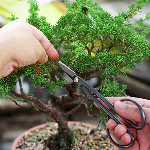 MOSFiATA Bonsai Tools Set 13 Pcs High Carbon Steel Succulent Garde...