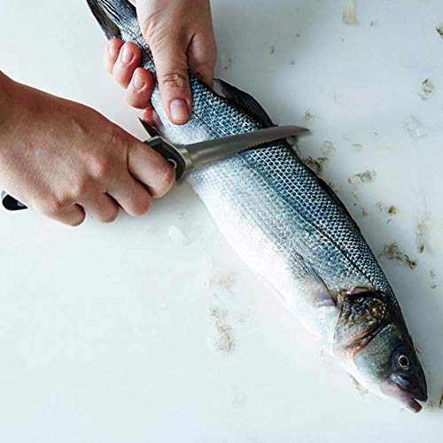 Mossy Oak 4pc Fishing Tool Kit - Pistol Grip Fishing Pliers, Fish ...