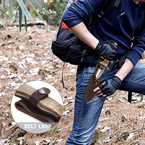 Mossy Oak Fixed Blade Gut Hook Knife, 9.5-inch Full Tang Field Pro...