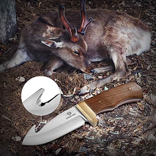 Mossy Oak Fixed Blade Gut Hook Knife, 9.5-inch Full Tang Field Pro...