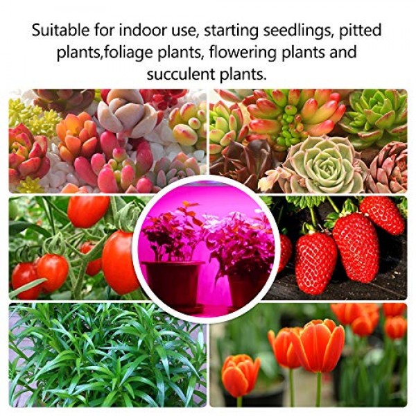 Mosthink LED Grow Light for Indoor Plants, 20W Plant Grow Light St...