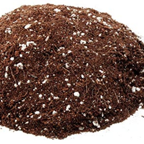 Mother Earth Coco Plus Perlite Mix - For Indoor and Outdoor Contai...